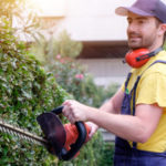 Quels conseils pour choisir un paysagiste ?